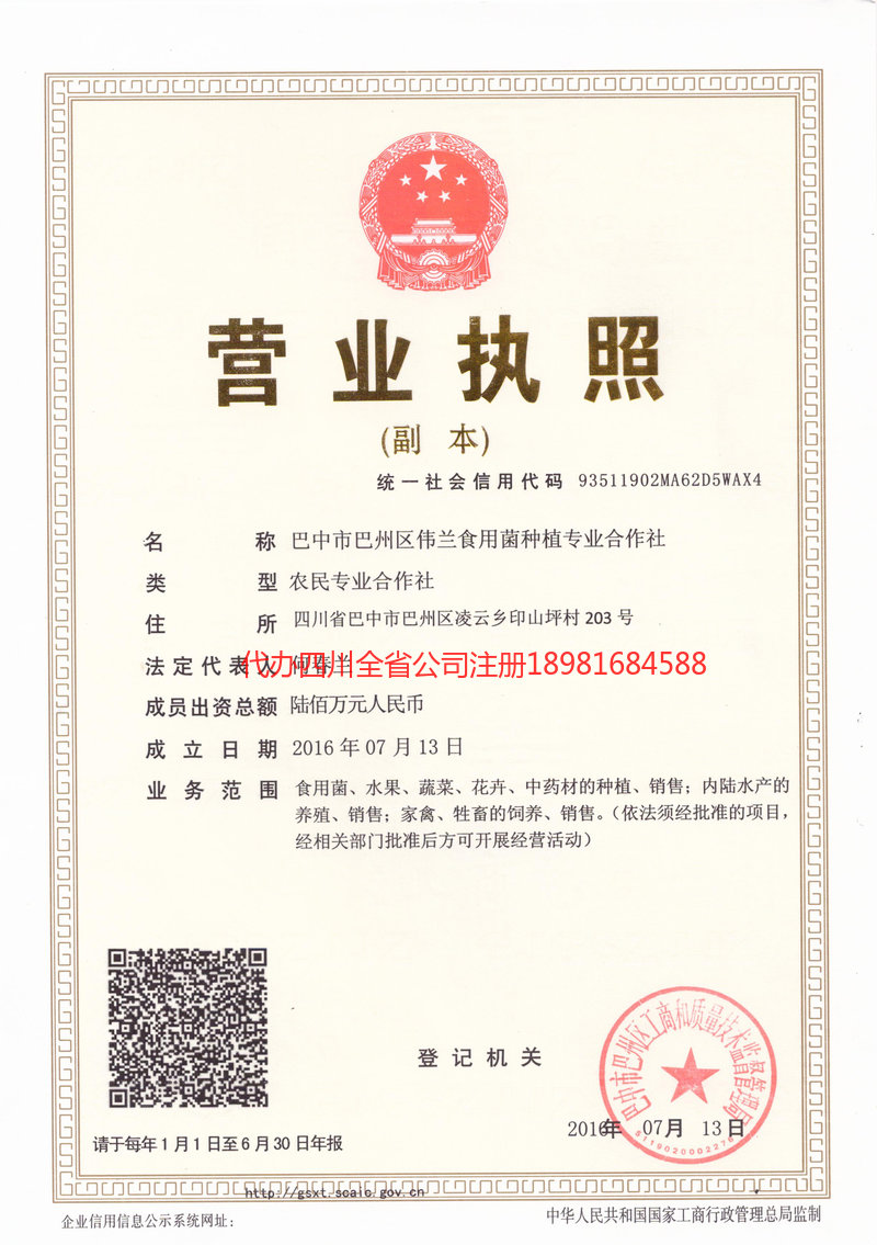 保定保定伟兰食用菌种植专业合作社